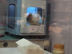 -十年猫舍·猫咪专门店(普陀店)