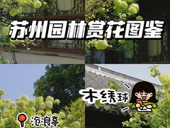 -沧浪亭