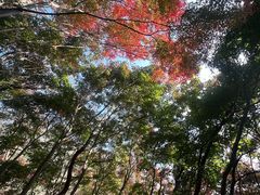 -崂山巨峰游览区