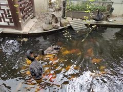 -湖鲜楼