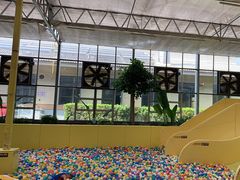 -南宫五洲植物乐园