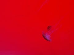 -沈阳海洋探索中心