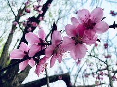 -黄兴公园