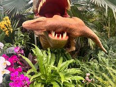 -沈阳植物园