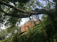 -鸿山公园