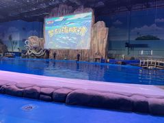 -华夏文旅海洋公园