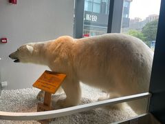 -魏客咖啡(中铁中心店)