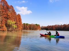 -上海海湾国家森林公园