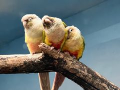 -济南野生动物世界