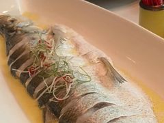 -颂福楼·南京菜(定淮门店)