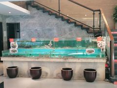 -饭怕鱼(阳光100店)