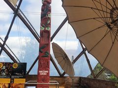 -怀托摩萤火虫洞