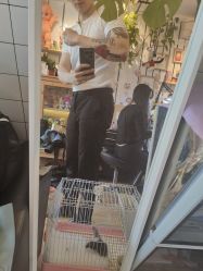 -MDZ STORE·TATTOO·耳饰