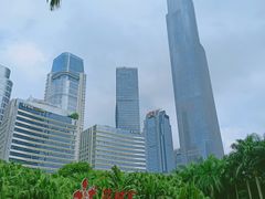 -广州富力君悦大酒店空中花园
