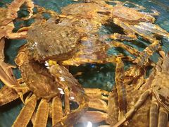 -龙宴海鲜城(经中路店)