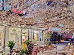 -玛格萝妮比萨屋(四平店)