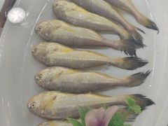 -梅子大排档