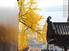 -宝通禅寺