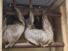 -广州长隆野生动物世界