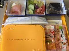 -全日本空输株式会社(上海办事处)