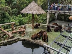 -深圳野生动物园