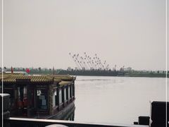 -南大港湿地风景区