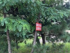 -白水寺森林公园