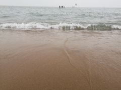 -山东八大碗山东老字号