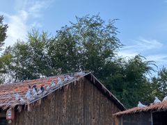 -九城宫草原漫瀚文化旅游区