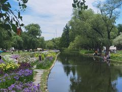 -上海共青森林公园