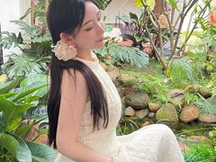 -菌林天下·野生菌汤锅