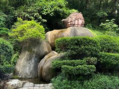 -雁南飞茶田景区
