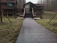 -黄海国家森林公园