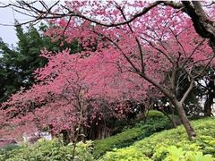 -乌山风景区