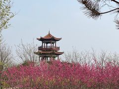 -南大港湿地风景区