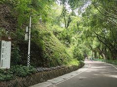 -金鸡山公园