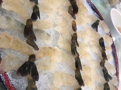 -海晖酒楼·顺德鱼生(荣华店)