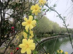 -石湖景区