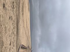 -郭莽湿地