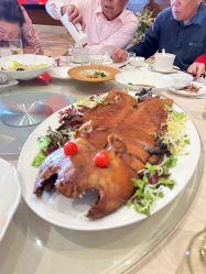 -上海雅居乐万豪侯爵酒店·宴会厅