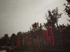 -天津东丽湖风景区