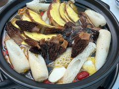 -蘑统田下·野生菌火锅