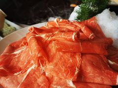 -九鼎轩脆毛肚火锅(三钢里店)