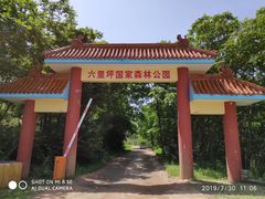 -六里坪国家森林公园