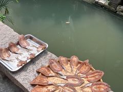 -小洲村