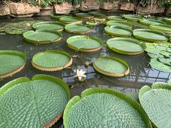 -华南国家植物园-售票处