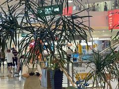 -野人先生Gelato(上海长宁龙之梦店)