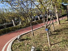 -马栏河运动公园