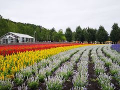 -富田农场