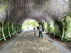 -同里国家湿地公园